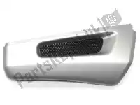 46632313895, BMW, lateral trim panel left - silber          bmw  1100 1994 1995 1996 1997 1998 1999 2000, New