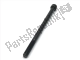 Tornillo hexagonal m6x100 Aprilia 478171