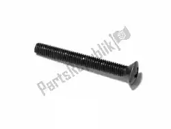 Here you can order the screw, oval, 6x50 from Honda, with part number 90191KYJ900: