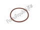 Gasket Aprilia 828984