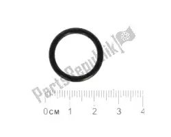 Here you can order the o-ring 17,13x2,62 from Piaggio Group, with part number GU90706170:
