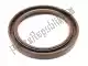 Oil seal Yamaha 931022880000