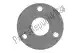 Silencer gasket Piaggio Group AP8120812