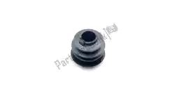 Here you can order the end cap from BMW, with part number 77258566078: