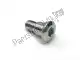 Tornillo kx125-g1 Kawasaki 921501266