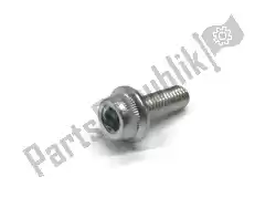 Here you can order the bolt, hexagon socket head from Yamaha, with part number 901100502800: