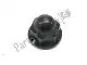 Nut, cap, 6mm Honda 90202GCCC50