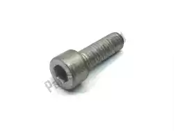 Here you can order the fillister-head screw - m8x25           from BMW, with part number 46632313246: