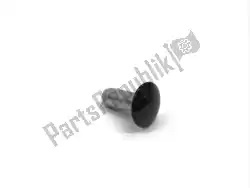 Here you can order the pin, screen setting from Honda, with part number 64206ML0700: