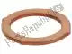 Exhaust pipe gasket Piaggio Group 969236