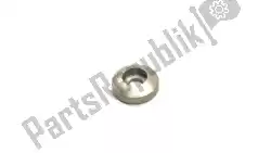 Here you can order the retainer from Ducati, with part number 84110281A: