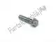 Bolt, flange, 6x25 Honda 960010602500