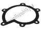 Water pump cover gasket Piaggio Group 879210