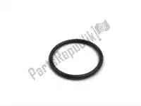 920551555, Kawasaki, ring-o,tensioner vn1500-d1 kawasaki  vn 400 1500 1600 1996 1997 1998 1999 2000 2001 2002 2003 2004 2005 2006 2007 2018 2019 2020 2021, New