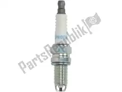 Here you can order the spark plugs, dcpr8ekc from Dayco, with part number 7168:
