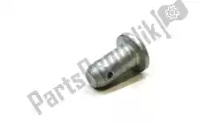Here you can order the pin from Piaggio Group, with part number AP8121533:
