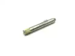 Here you can order the pin from Piaggio Group, with part number 620767: