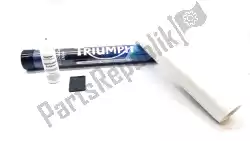 Qui puoi ordinare kit protezione vernice tipo 15 gloss da Triumph , con numero parte A9930332: