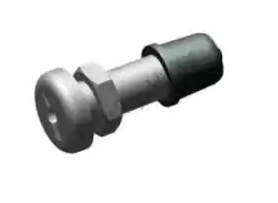 Aqui você pode pedir o válvula de pneu sem câmara em Piaggio Group , com o número da peça AP8101744: