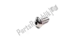 Here you can order the screw from Suzuki, with part number 0913905025: