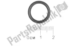 Here you can order the o-ring from Piaggio Group, with part number 830433: