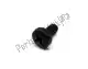 Screw 6mx100x12 Piaggio Group 00012061200