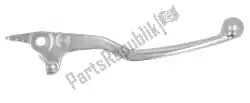 Here you can order the brake lever from Piaggio Group, with part number GU03605645: