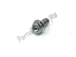 Here you can order the screw from Ducati, with part number 77250978B: