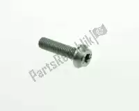 07129907381, BMW, fillister-head screw - m8x30-8.8-znniv bmw   400 750 850 1000 1200 1250 1600 1800 2012 2013 2014 2015 2016 2017 2018 2019 2020 2021, New