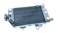 19010MFFD01, Honda, radiator comp., r. honda xl 700 2008 2009, Nieuw