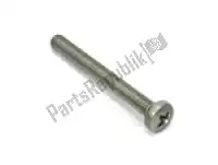 AP8150406, Piaggio Group, tornillo m5x45 aprilia  caponord etv red rose red rose 608v rst rsv rsv tuono 50 1000 1992 1993 1994 1995 1996 1997 1998 1999 2001 2002 2003 2004 2005 2006 2007 2008 2009, Nuevo