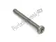 Tornillo m5x45 Piaggio Group AP8150406