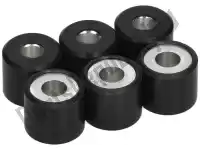 CM1038035, Piaggio Group, Pin roller-set 8.5gr     , New