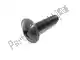 Screw ksf250-a2 Kawasaki 920091465