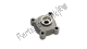 Oil pump housing Aprilia AP9150217