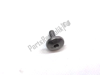 887956, Aprilia, head cover screw, New