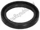 Gasket ring Piaggio Group 82899R