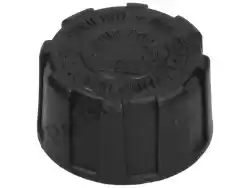 Here you can order the expansion tank plug from Piaggio Group, with part number 623673: