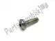 Vis m5x20 inox Piaggio Group 862400