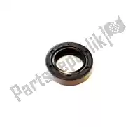 969028, Piaggio Group, gasket ring 17x28x07 aprilia derbi piaggio vespa  4t atlantis boulevard et fly free lbmc25c lbmca2100 lbmca220 lbmcd2100 lbmcd2200 liberty lx lxv minimoto primavera rp8c52100 rp8c52300 rp8c54100 rp8ca1100 rp8ca1200 rp8cd1100 rp8m25310, rp8m25300, rp8m25411 s scarabeo sport ci, New