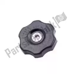 Here you can order the cap-assy-pressure vn1500-b6 from Kawasaki, with part number 490851067: