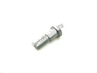AP8105103, Aprilia, special screw m10x18, New
