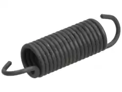 Here you can order the spring from Piaggio Group, with part number 125354: