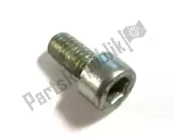 Here you can order the hex socket screw m6x10 from Piaggio Group, with part number 319446: