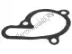 Gasket Piaggio Group 879030