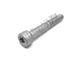 Here you can order the isa screw - m10x65          from BMW, with part number 07129905074: