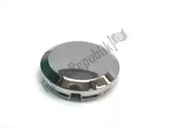 Here you can order the cap,swing arm zl400-b1 from Kawasaki, with part number 110121688: