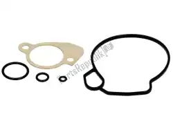 Here you can order the carb. Sealing set from Piaggio Group, with part number 498413: