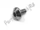 Screw(1xl) Yamaha 901490626400