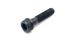 Here you can order the screw from Ducati, with part number 77156443B: